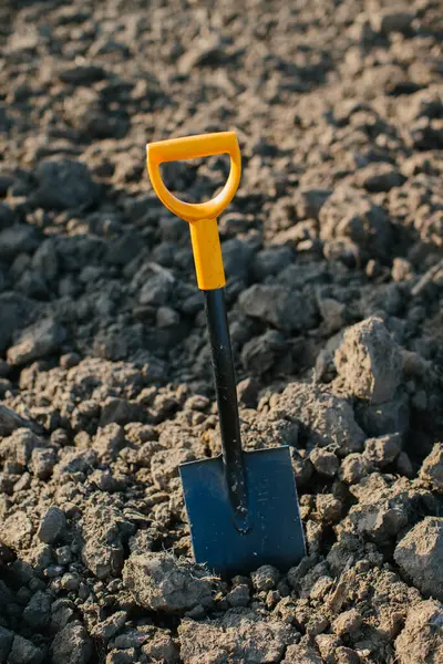 A shovel on the background of a plowed field. Treasure hunting and archeology concept.
