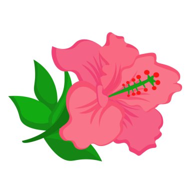 Şirin Pembe Çiçek Hibiscus Doğa Çizgi Filmi Vektör Clipart Çıkartma Arkaplanı Dekorasyonu 