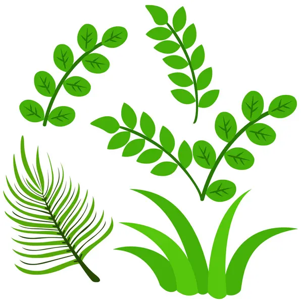 Feuilles Nature Verte Illustration Bande Dessinée Vectorielle Clipart Autocollant Décoration — Image vectorielle
