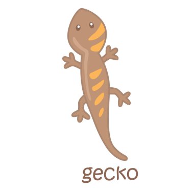 Gecko Sözcük Hazinesi Okul Dersi için G Alfabesi Çizim Vektörü Clipart Çıkartma Arkaplanı