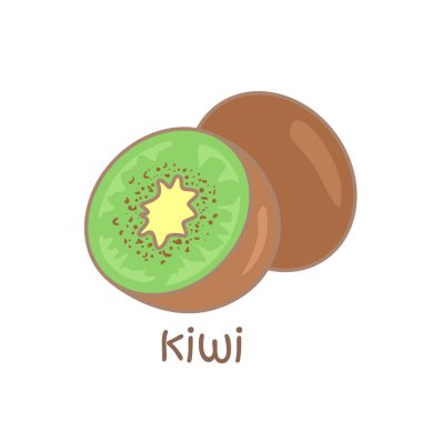 Kiwi Sözcük Hazinesi Okul Dersi için K Alfabesi Çizim Vektörü Clipart Çıkartma Arkaplanı