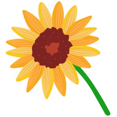 Güzel Sarı Çiçekler Çiçek Bitkileri Doğa Çizgi Filmi İllüstrasyon Vektörü Clipart Yapıştırma Arkaplanı