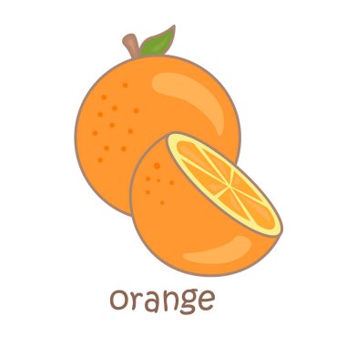 Turuncu Sözcük Hazinesi Okul Dersi için O Alfabesi Çizim Vektörü Clipart Çıkartma Arkaplanı Dekorasyonu