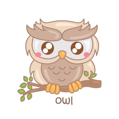 Baykuş Sözcük Hazinesi Okul Dersi için Alfabe O Çizim Vektörü Clipart Çıkartma Arkaplanı Dekorasyonu