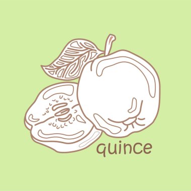 Quince Kelime Hazinesi Okulu Dersi için Q Alfabesi Dijital Mühür Özeti