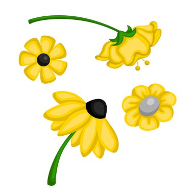 Güzel Ayçiçeği Sarı Çiçekler Doğa Bahçesi Çizgi Film Çizim Vektörü Clipart Çıkartma Arkaplanı