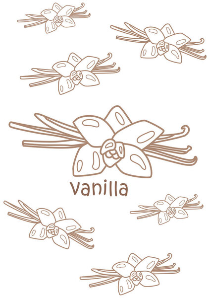 Алфавит V для школы словарного запаса "Ванильный цветок" Урок карикатуры для детей и взрослых