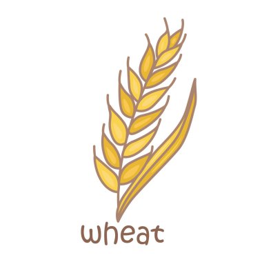 Wheat Nature Sözcük Hazinesi Okul Dersi Çizgi Film Çizimi Vektörü Clipart Çıkartma Arkaplanı Alfabe W