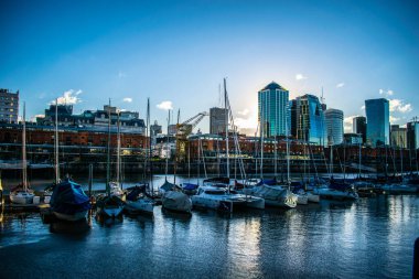 Sydney, Avustralya Limanı..