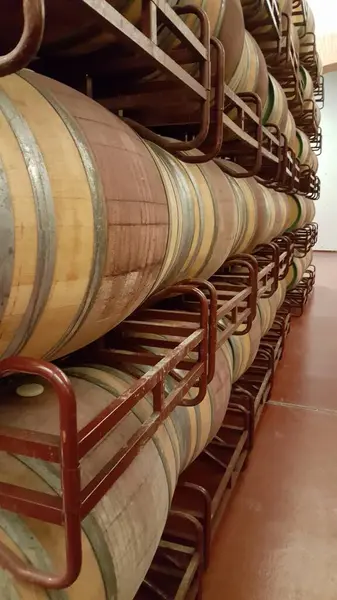 Wooden barrels with stacked wine stored in cellar with oak color giving linearity and circularity
