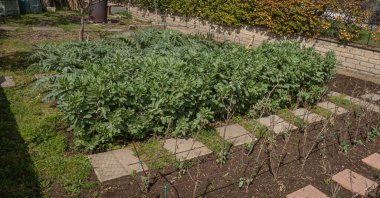 Bahar geldi ve bahçe üzerinde çalışma zamanı. DIY Bahçesi.