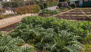 Bahar geldi ve bahçe üzerinde çalışma zamanı. DIY Bahçesi.