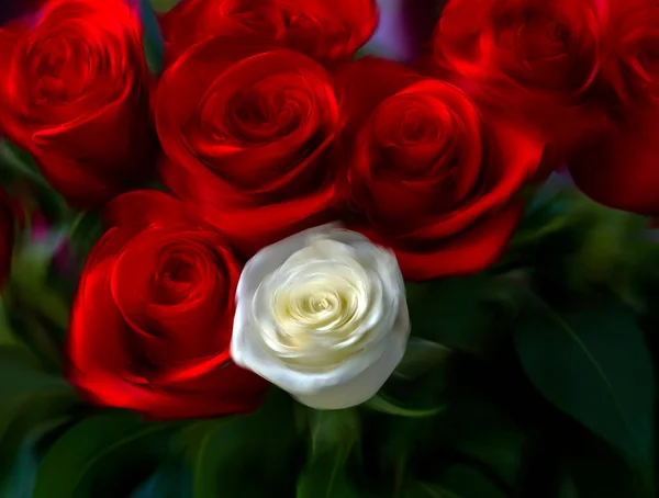 Fantasy with white and red roses
