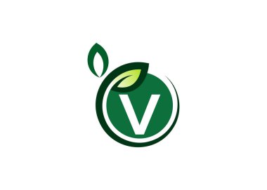 V harfi yeşil yaprak logo tasarım vektör şablonu. V harfi Doğa Büyüme Vektörü logosu