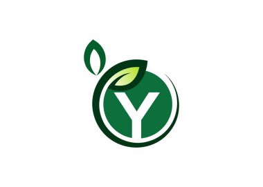 Y yeşil yaprak logo tasarım vektör şablonu. Y Harfi Doğa Büyümesi Yaprak Vektör logosu