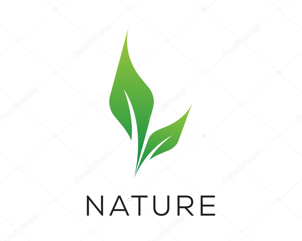 Nature leaf logo vector design template