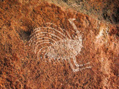 Guachipas Boyalı Mağaraları (Arjantin). İspanyol asıllı yerli bir hayvan olan Suri 'yi temsil eden yerli bir tablo..