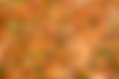 Yatay biçimdeki ışık ve gölgelerle sonbahar renklerinin bulanık arkaplanı.