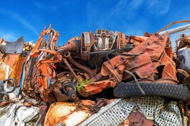 Bir depoda sıkıştırılmış hurda yığını ve bu kadar kirliliğin arasında, yeşil bir bitki filizleniyor. Bu kadar kirliliğin arasında, hayat bize umut veren bir bitkinin yeniden doğuşuyla yolunu bulur..