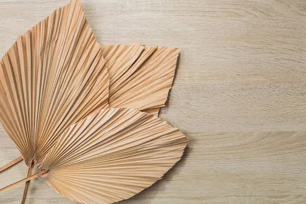 Ahşap zemin üzerinde kurumuş palmiye yaprağı kopyalama alanı ile.