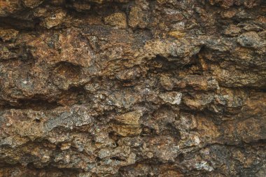 Eski ağaç kabuğu dokusu