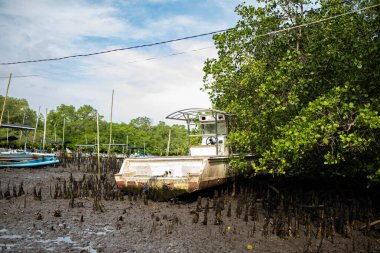 Mangrov ormanının çamurlu sahilinde sıkışmış küçük, terk edilmiş bir tekne. Tekne yoğun yeşil yapraklarla çevrilidir ve arka planda diğer tekneler görülebilir..