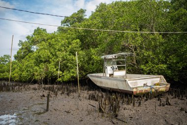 Yoğun mangrov ağaçlarıyla çevrili çamurlu bir sahilde karaya oturmuş küçük, beyaz bir balıkçı teknesi. Tekne yıpranmış ve kullanılmamış görünüyor. Kablolar bulutlu bir gökyüzüne karşı görünür..