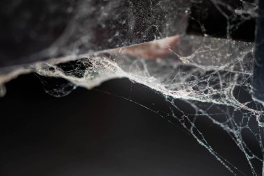 Karmaşık detaylar ve ince ipliklerle, karanlık, bulanık bir arkaplana kurulmuş bir örümcek ağına yakın plan..