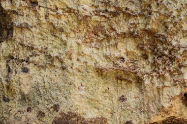 Dokulu kaya yüzeyine yakın çekim. Toprak tonları ve doğal desenleri var..