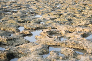 Gökyüzünü yansıtan sığ su havuzları olan nemli ve kayalık bir arazi. Yüzey engebeli ve düzensiz görünüyor. Doğal erozyon desenleri gösteriyor..