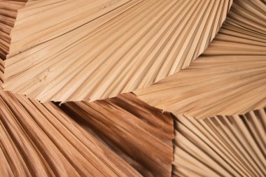 Karmaşık doku ve kalıplara sahip kurumuş palmiye yapraklarının yakın çekimi, doğal toprak tonlarını ve organik şekilleri sergiliyor..