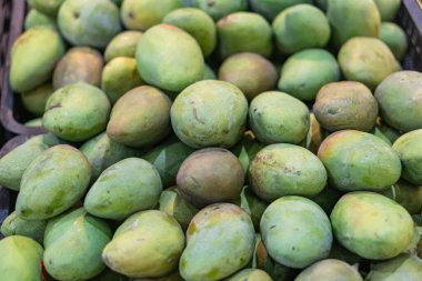Yeşil mango yığınının yakın plan görüntüsü pürüzsüz derilerini ve değişik yeşillik tonlarını sergiliyor. Mangolar bir sepete konur, taze ve olgun göründüklerini vurgularlar..