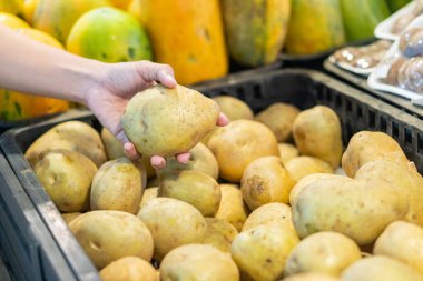 Markette patates dolu bir sepetten patates seçen bir el. Arka planda çeşitli meyve ve sebzeler yer alarak canlı bir pazar ortamı yaratılıyor..