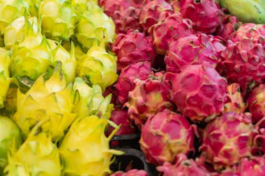 Sarı ve pembe renkli canlı ejderha meyveleri eşsiz dikenli dokularını gözler önüne seriyor. Meyveler düzgünce dizilmiş, egzotik görünüşlerini vurguluyorlar..