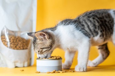 Küçük bir kedi mamasından yemek yiyen sevimli, gri ve beyaz bir kedi yavrusu. Arka planda kedi maması dolu bir çanta var. Arka plan parlak sarı, neşeli bir atmosfer yaratıyor..
