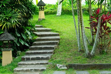Bereketli tropik bitki ve ağaçlarla çevrili çimenli bir tepeyi tırmanan taş basamakların olduğu sakin bir bahçe sahnesi. İki dekoratif fener basamakları kuşatıp doğal ortama cazibe katıyor..