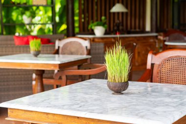 Küçük saksı bitkileriyle süslenmiş mermer kapaklı ahşap masaların yer aldığı samimi bir yemek alanı. Dekor, rahat ahşap sandalyeler ve yemyeşil bir arka plan içeriyor, sakin bir atmosfer yaratıyor..