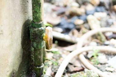 Yeşil, yosun kaplı, kapaklı bir su borusunun yakın plan görüntüsü. Enkaz ve yaprakların bulanık arka planına kurulmuş..