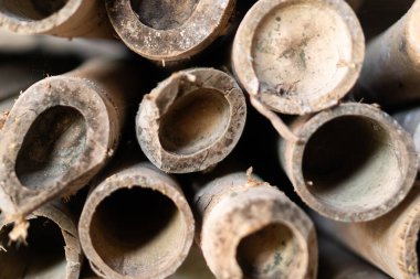 İçi boş bambu tüplerinin doğal dokularını ve toprak tonlarını gösteren yakın çekim görüntüsü..