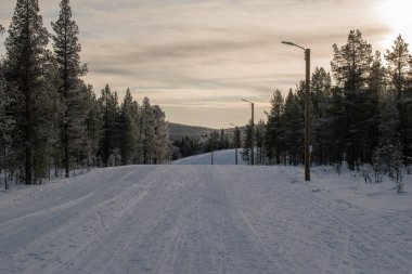 Büyülü kış manzarası. Karla kaplı ağaçlar. Helsinki. Finlandiya. Aralık 'ta gün batımından önce çekilmiş..