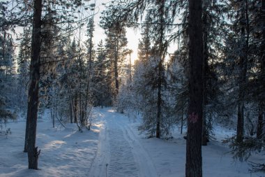 İsveç 'in Jukkasjarvi kentinin kış manzarası. İsveç 'in kuzeyinde Kiruna belediyesinde yer almaktadır. Laponya Eyaleti.