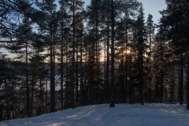 İsveç 'in Jukkasjarvi kentinin kış manzarası. İsveç 'in kuzeyinde Kiruna belediyesinde yer almaktadır. Laponya Eyaleti.