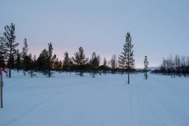 İsveç Laponya 'nın karlı ormanlarında kar gezici patika. Kiruna, Norrbotten.