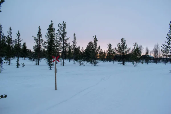Snow mobile path in snowy forest, Swedish Lapland. Kiruna, Norrbotten.