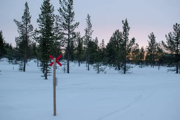 Snow mobile path in snowy forest, Swedish Lapland. Kiruna, Norrbotten.