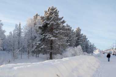 İsveç Laponya 'sında güzel bir kış manzarası, Kiruna. Güneş ışığında fotoğraflanmış..