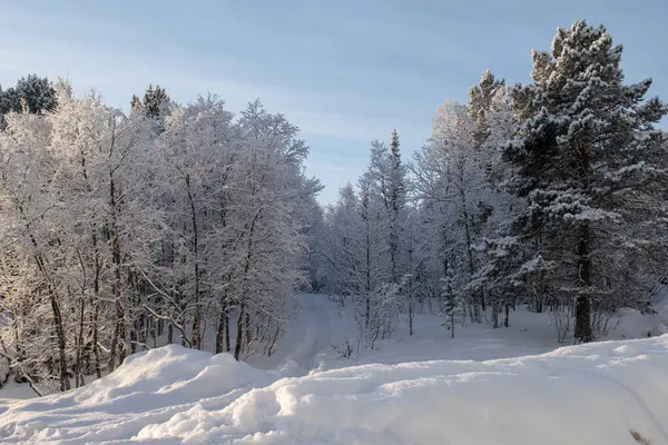 İsveç Laponya 'sında güzel bir kış manzarası, Kiruna. Güneş ışığında fotoğraflanmış..