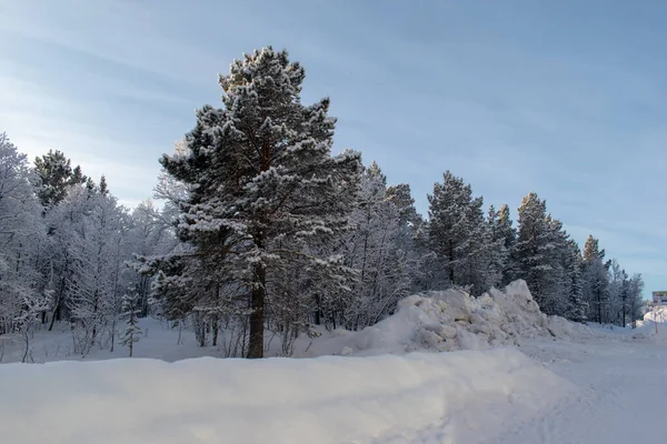 İsveç Laponya 'sında güzel bir kış manzarası, Kiruna. Güneş ışığında fotoğraflanmış..