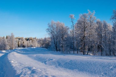 İskandinavya 'daki güzel beyaz kış harikalar diyarı manzarasının panoramik manzarası kışın gün batımında, kuzey Avrupa' da manzaralı altın akşam ışığı. İsveç Laponya.