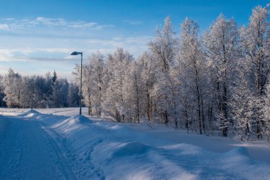 İskandinavya 'daki güzel beyaz kış harikalar diyarı manzarasının panoramik manzarası kışın gün batımında, kuzey Avrupa' da manzaralı altın akşam ışığı. İsveç Laponya.